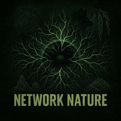 Network Nature [free download]