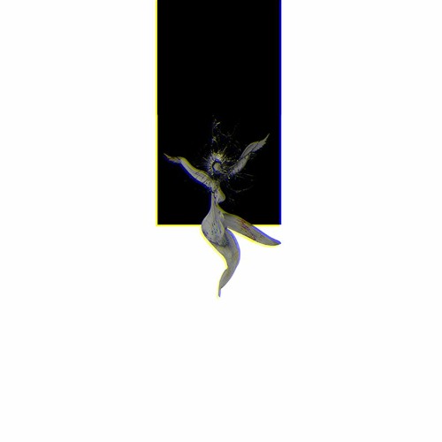 𝗡𝗜𝗧𝗡𝗔𝗙  - Paradox