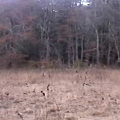 The Promised Land