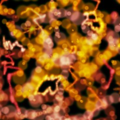 STARPERMEABLE – thirteen