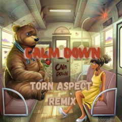 Rema - Calm Down - Torn Aspect Remix