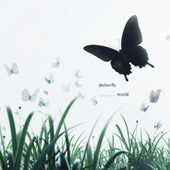 Bloomer - Butterfly World (Album)