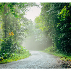 TRAVEL_31