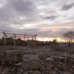 till tyrants die and the revolution triumphs