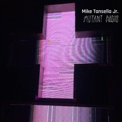 MIKE TANSELLA JR  [Recording from TES Tbilisi] [07.11.2024]