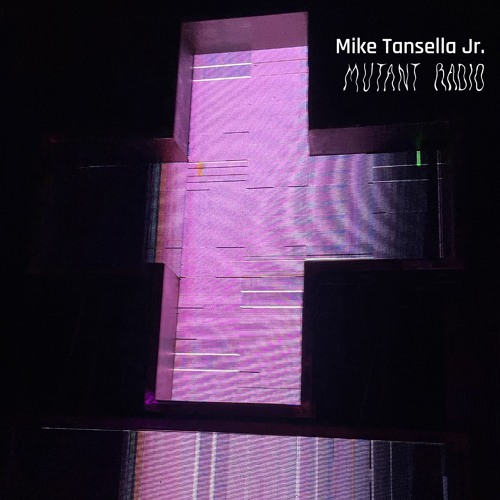 MIKE TANSELLA JR  [Recording from TES Tbilisi] [07.11.2024]