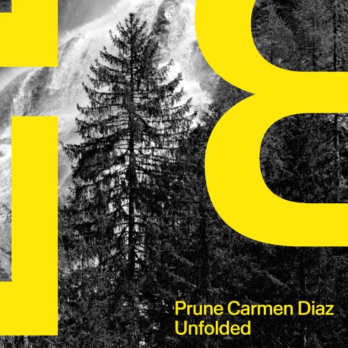 Prune Carmen Diaz - Unfolded