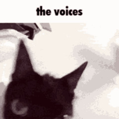 A cross between Daft Punk & Stardust