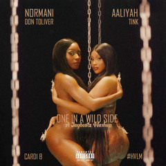 Normani X Aaliyah X Don Toliver X Tink - One in a Wild Side (A JAYBeatz Mashup) #HVLM