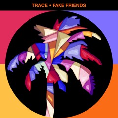 Fake Friends [HOT CREATIONS]