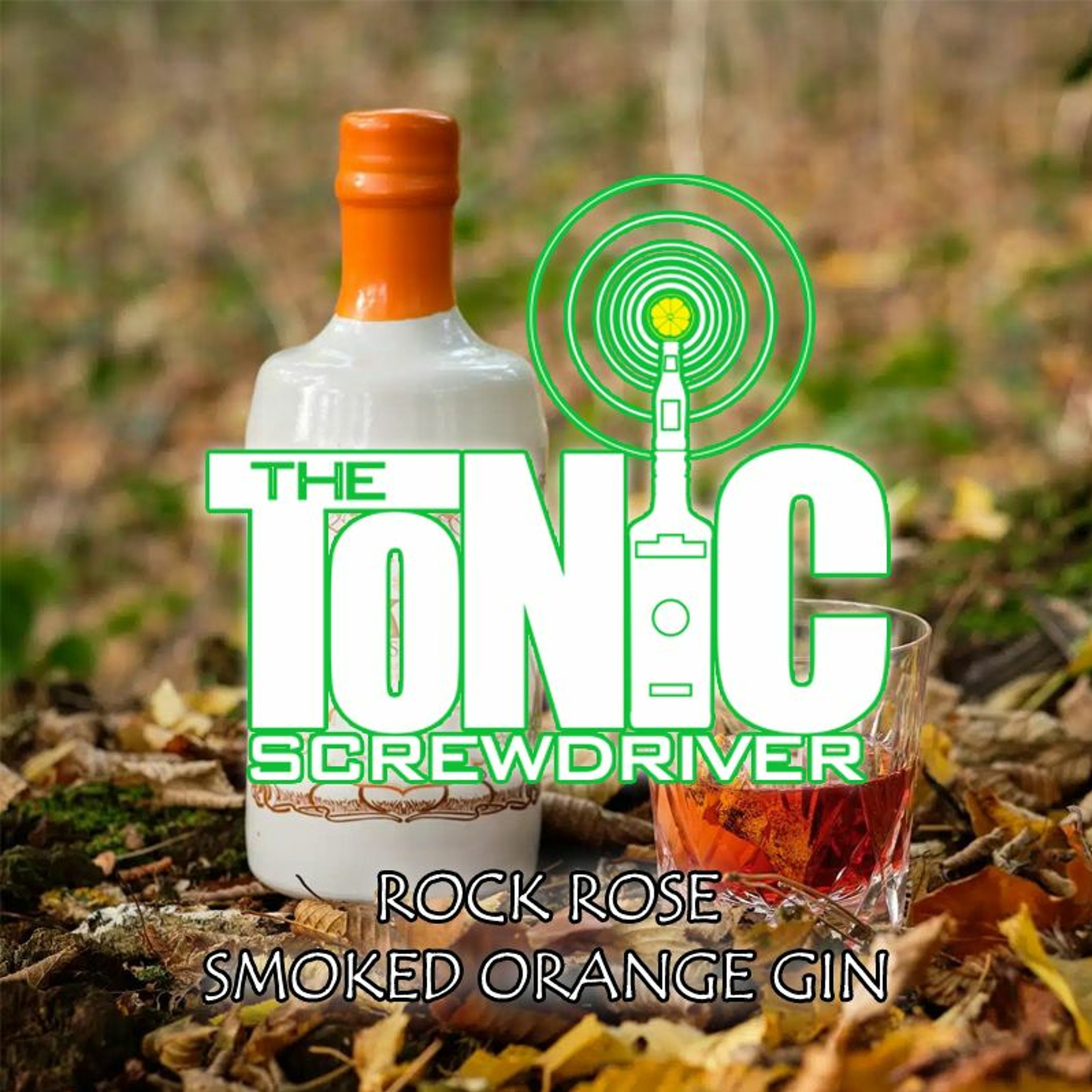 The Tonic Screwdriver