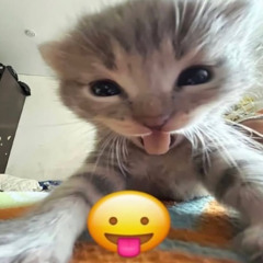 отпусти xdxd))