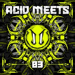 Acid Spring [soon on Acid Meets 03]