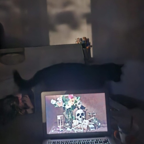 bot ne m'en veux pas