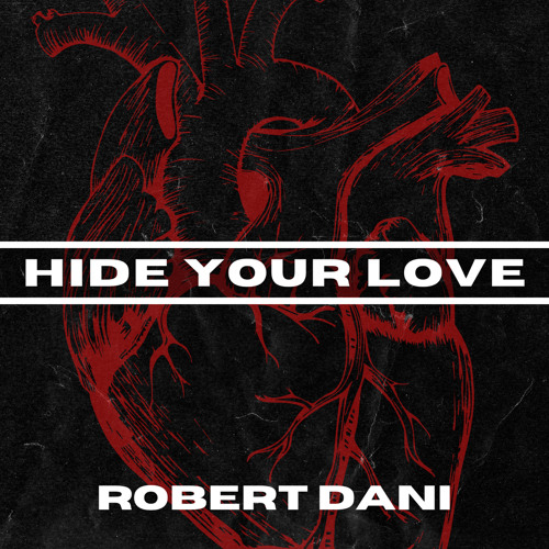 Robert Dani - Hide Your Love (Original Mix)
