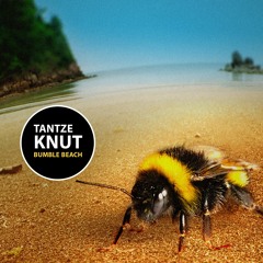 Free Download: Tantze Knut - Bumble Beach (Original Mix)