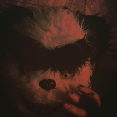 MI$TA MACHETE$ W/ HELLXN