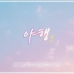 [Kame] 요루시카 - 夜行 (야행) Cover