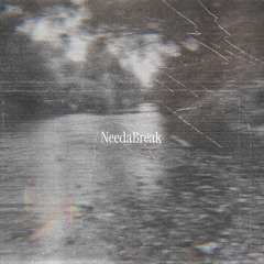 NeedaBreak