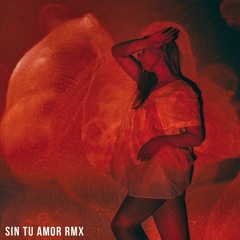 Andres Mel Feat. Fabiola Aguilar, Murielle B, Franco Chiesa & Varo - Sin Tu Amor (Remix)