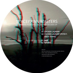 Spacepawn Masters - Answering Your Call - After Two Decades EP (Peter F. Spiess remix) // DARO007