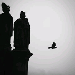 chirp