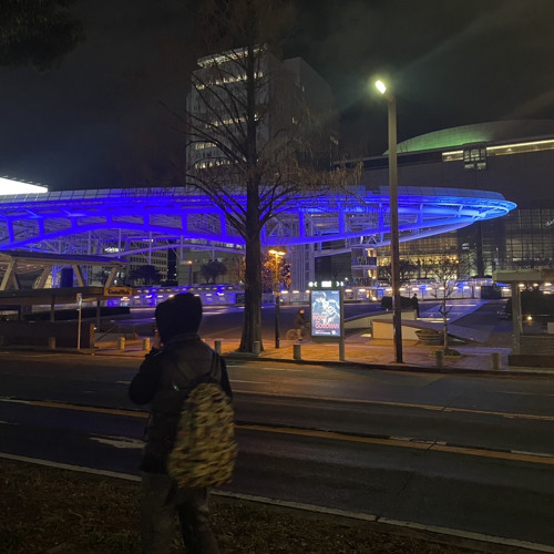 愛してバカになれ