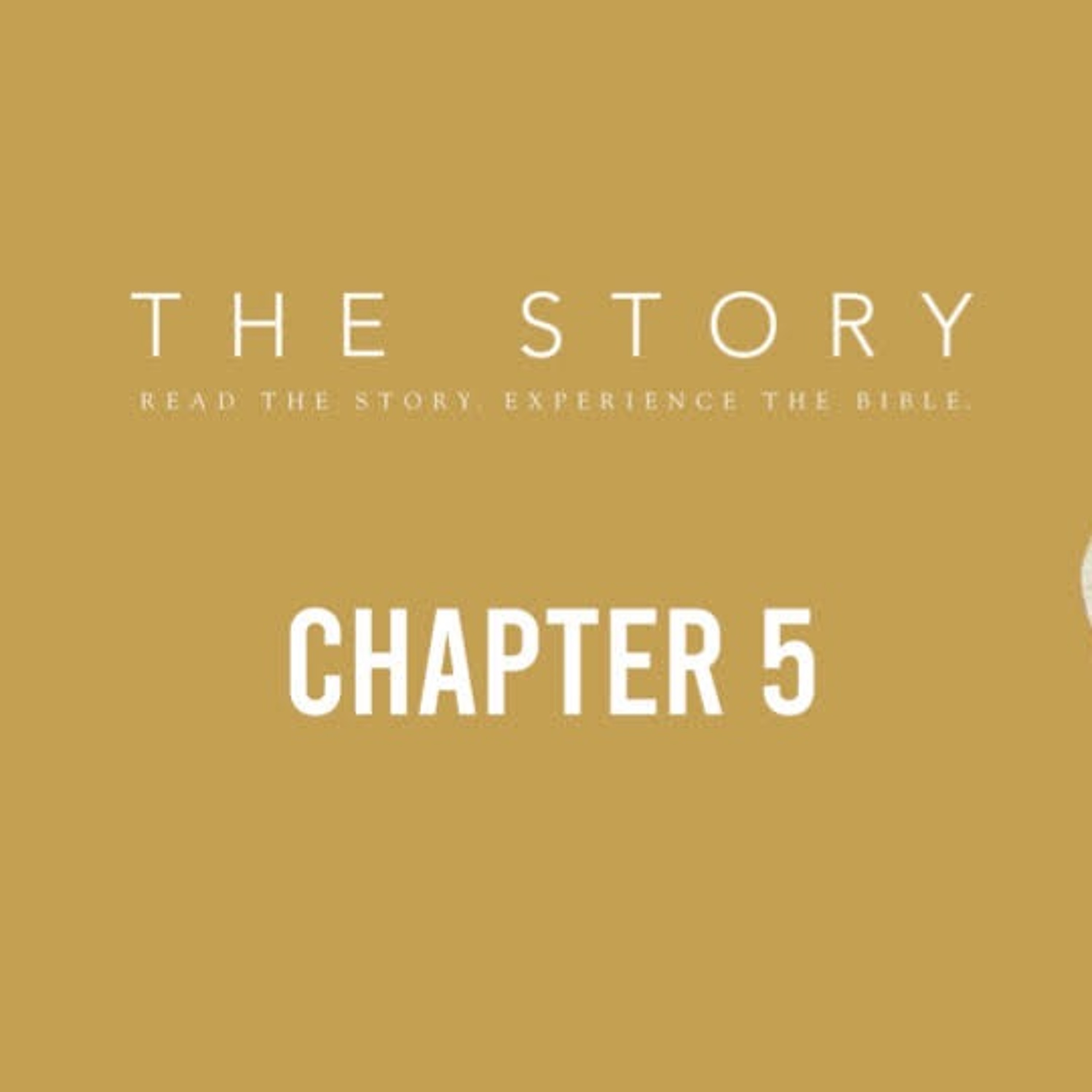10-15-23-The Story-Ch 5: New Commands and a New Covenant - Pastor Kjolhaug episode artwork