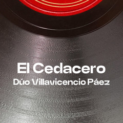 El Cedacero (feat. Conjunto Alma Nativa)
