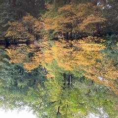 ambient.mixlr.07.10.2020
