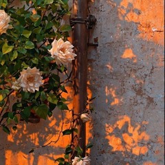 يوماً على يوم لو طالت الفرقة - عبد الكريم حمدان