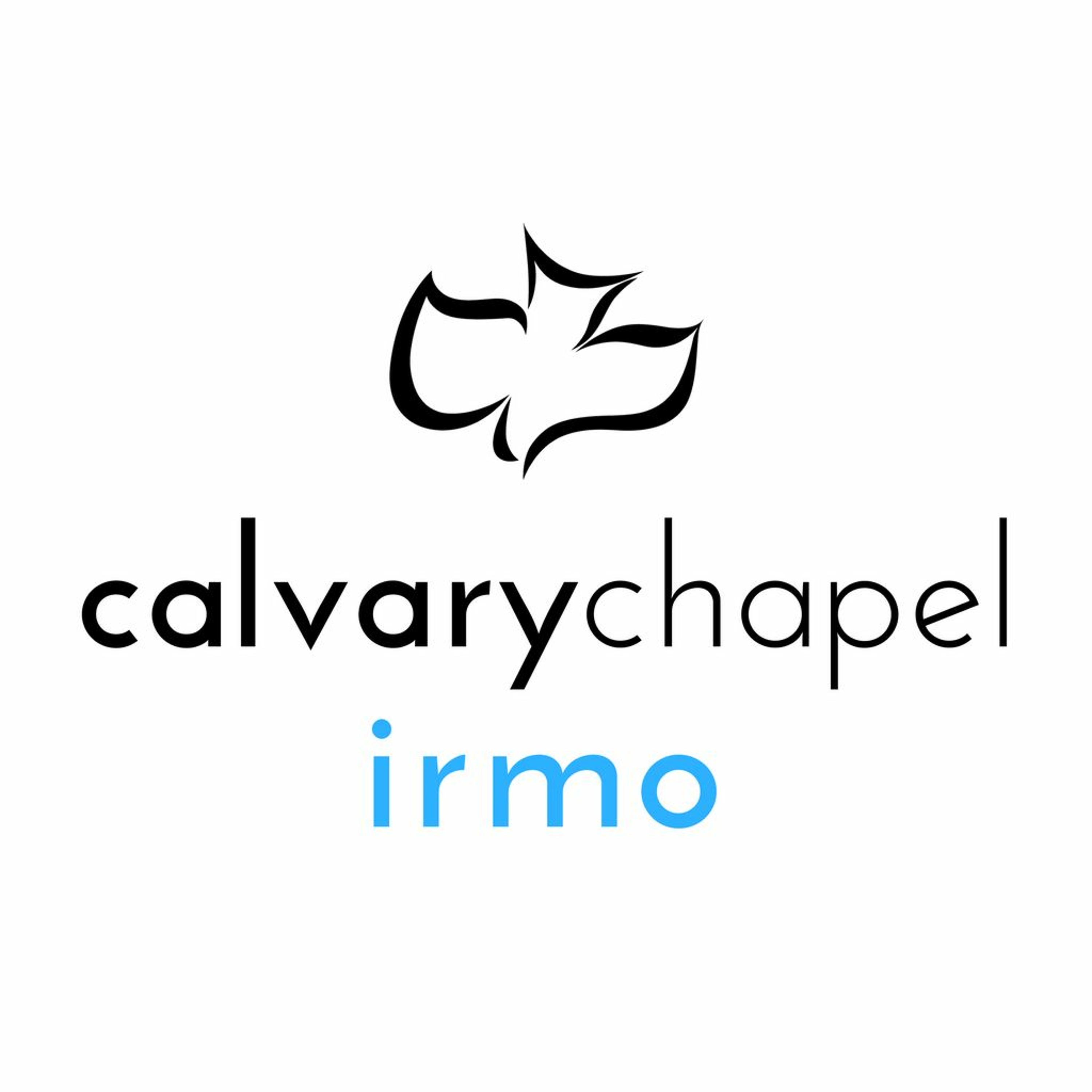 Hebrews 10:1 - 18 - Embracing Christ episode artwork