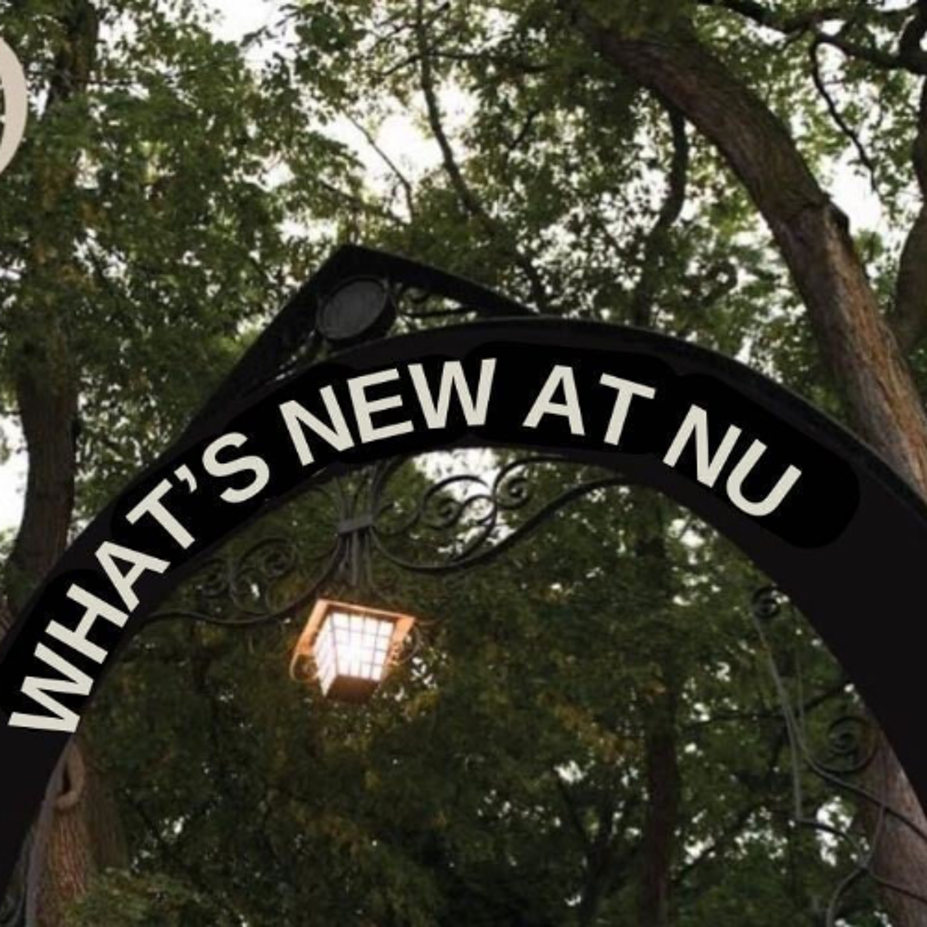 What’s New at NU: ​Block Museum Student Association brings Chitra Ganesh’s work to the Block Museum