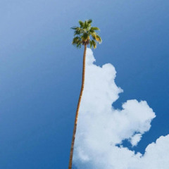 House Of The Falling Sun