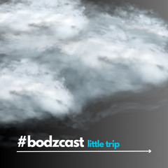 Bodzen - little trip bodzcast