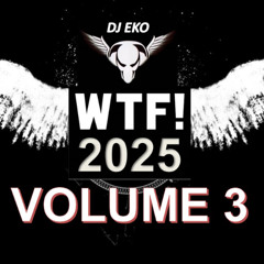 Dj Eko - WTF 2025 Volume 3