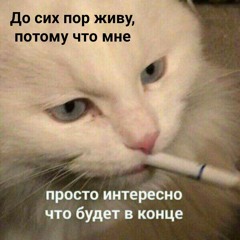 Скинь Котиков (Hardstyle remix)