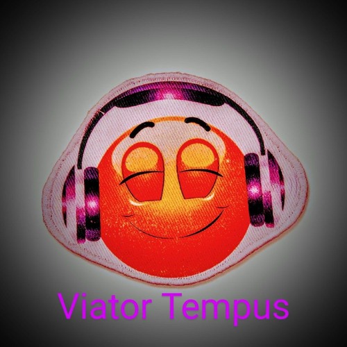 Viator Tempus- Fröhlich