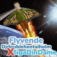 Flyvende Feat:ZigaDinDame