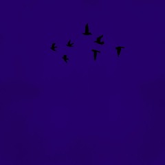 Panem Et Circenses (single Edit)