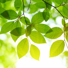 Inchecken Bij Jezelf