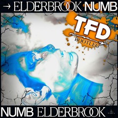 Elderbrook - Numb (TFD Bootleg)