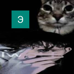 РАШН ЪЕЪДМ [RUSSIAN EDM]