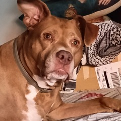 dj set che non ti devastano.