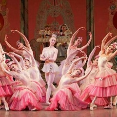 Waltz of The Flowers - Tchaikovsky