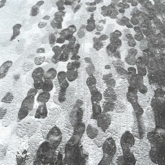 Metamorphosis W/ JYFL 020524