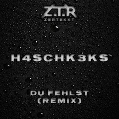 Du Fehlst [H4schk3ks Remix] [HARDTEKK]
