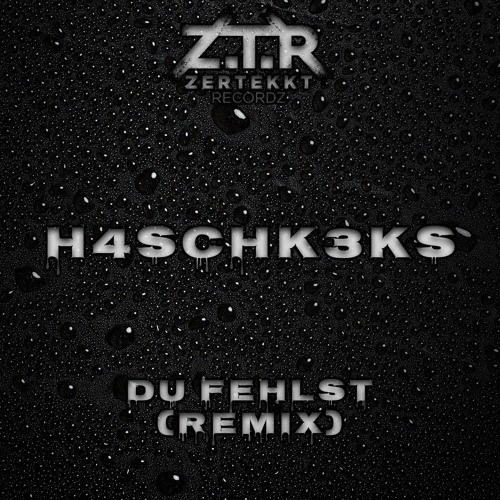 Du Fehlst [H4schk3ks Remix] [HARDTEKK]