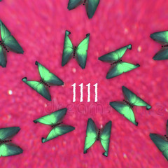 1111