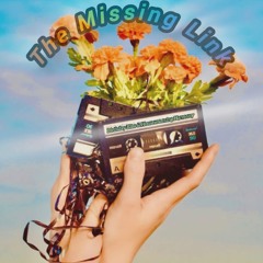 The MIssing Link - Birthday Bliss & Houserwarming Harmony Live-Set 07.09.24